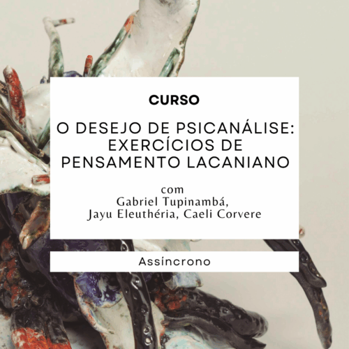 O desejo da psicanálise: exercícios de pensamento lacaniano